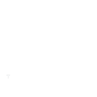 TÜD-Logo_Bild-und-Wortmarke-WHITE-TRANSPARENTBACKGROUND_200x200px